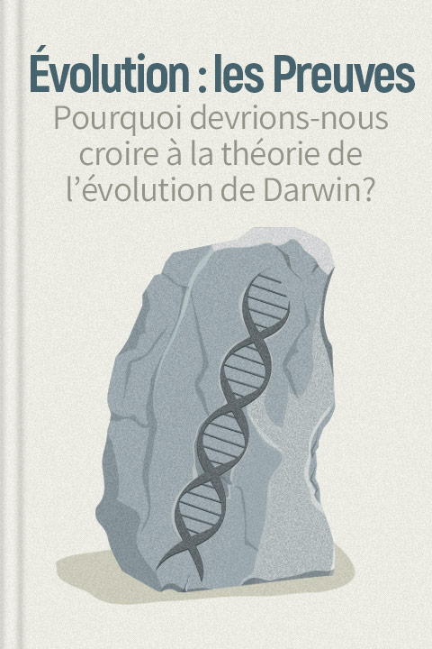 Évolution