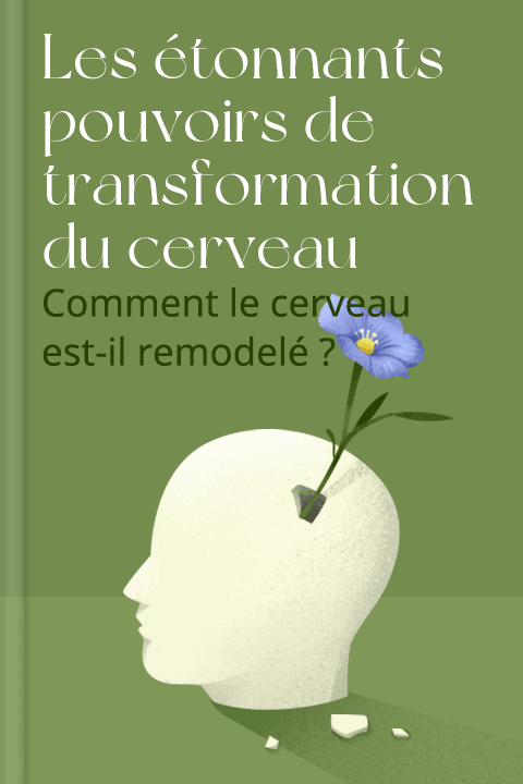 Les étonnants pouvoirs de transformation du cerveau