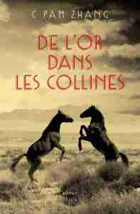 De l’or dans les collines